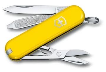 Picture of Classic Side Yellow Sunny Side